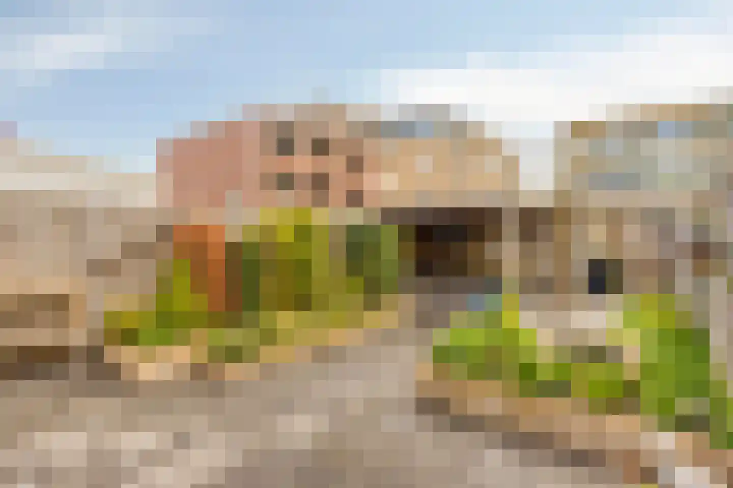 Citadel 17 Zaltbommel thumbnail 26
