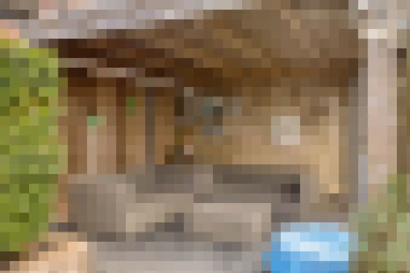 Citadel 17 Zaltbommel thumbnail 27