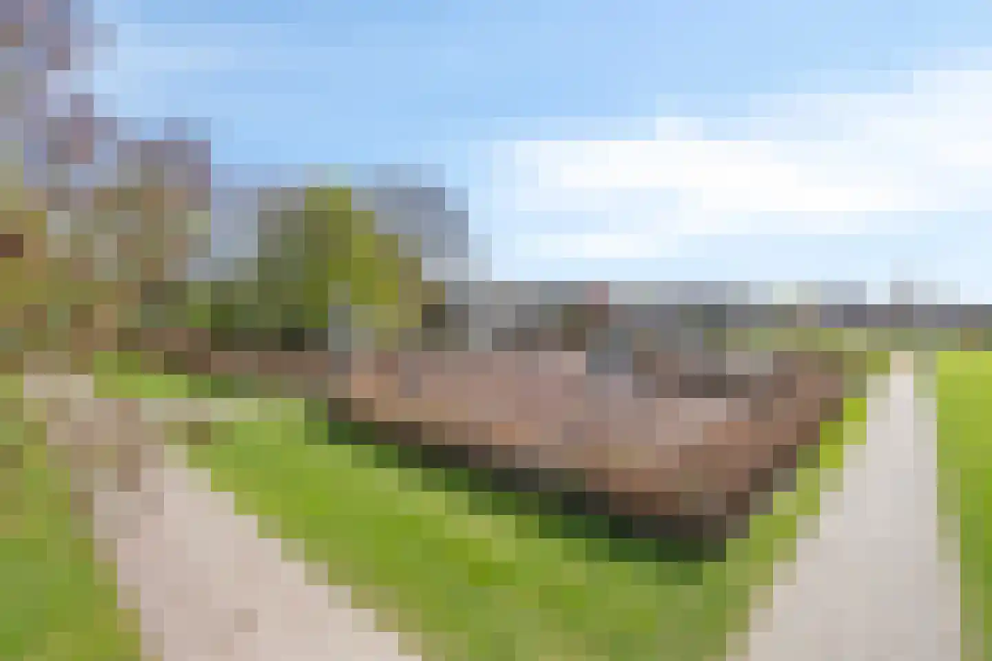Citadel 17 Zaltbommel thumbnail 34