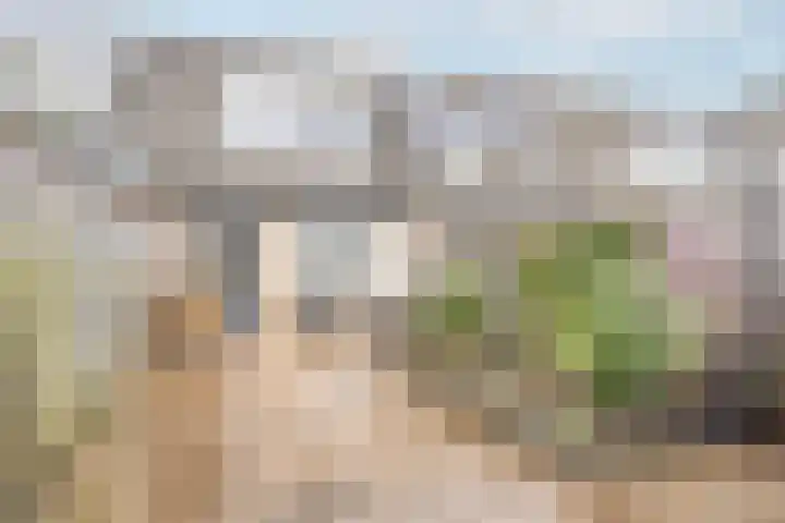 Citadel 19 Zaltbommel thumbnail 22