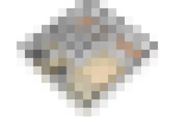 Citadel 21 Assen thumbnail 39