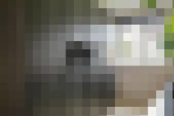 Citadel 25 Meteren thumbnail 11