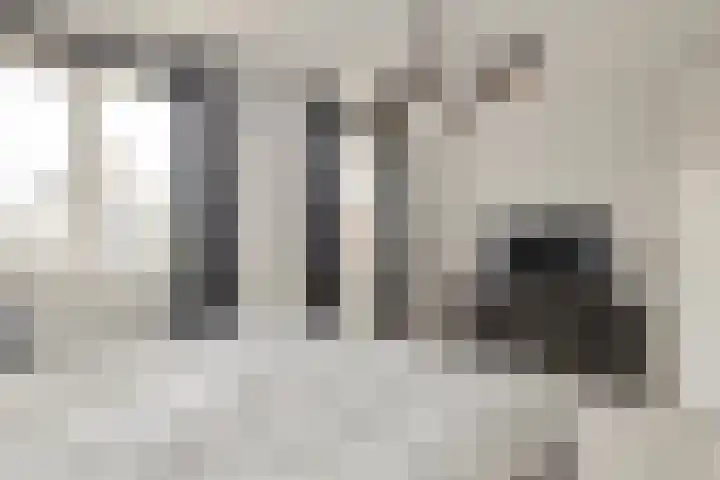 Citadel 25 Meteren thumbnail 21
