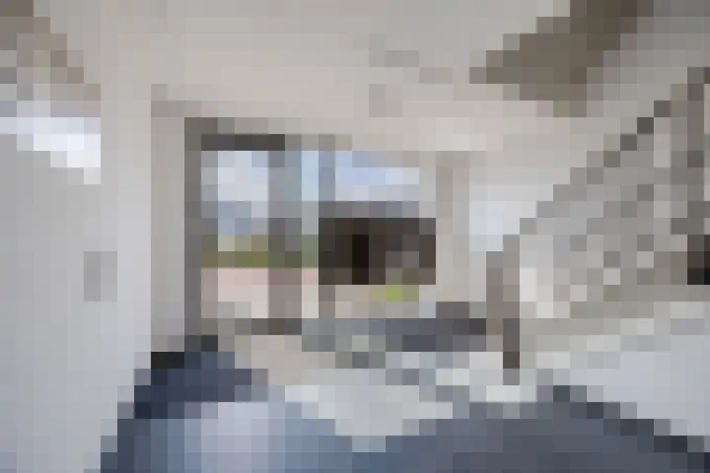 Citadel 27 Steenbergen thumbnail 26