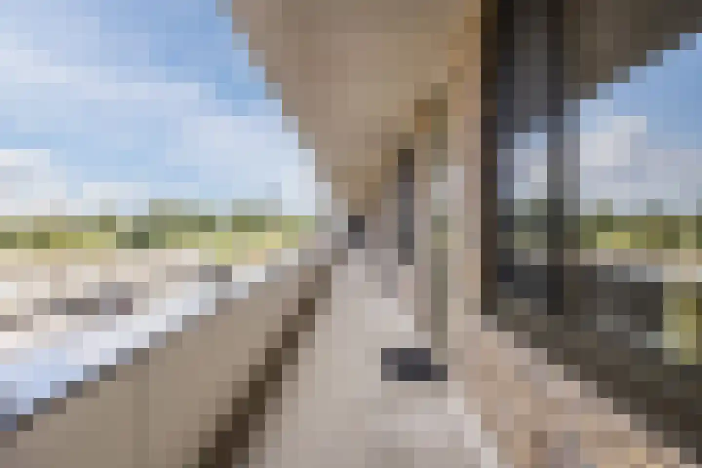 Citadel 27 Steenbergen thumbnail 30