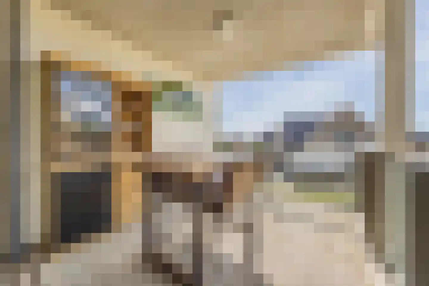 Citadel 27 Steenbergen thumbnail 5