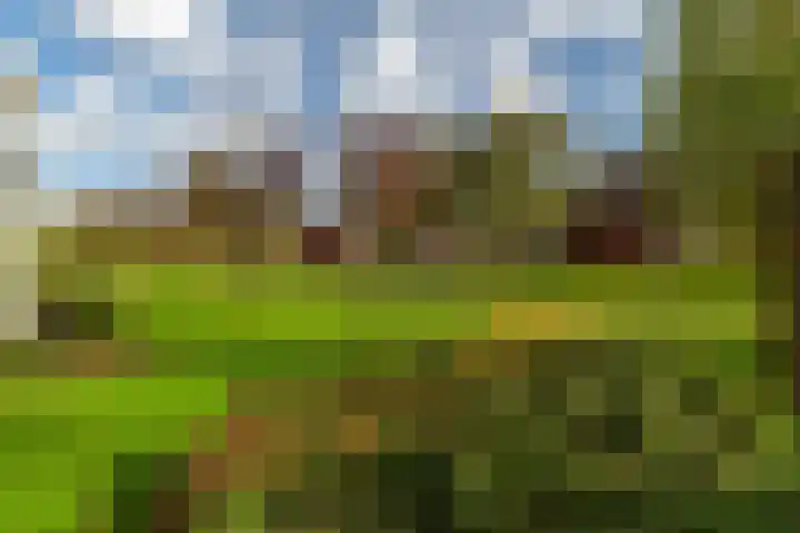 Citadel 28 Woudrichem thumbnail 34