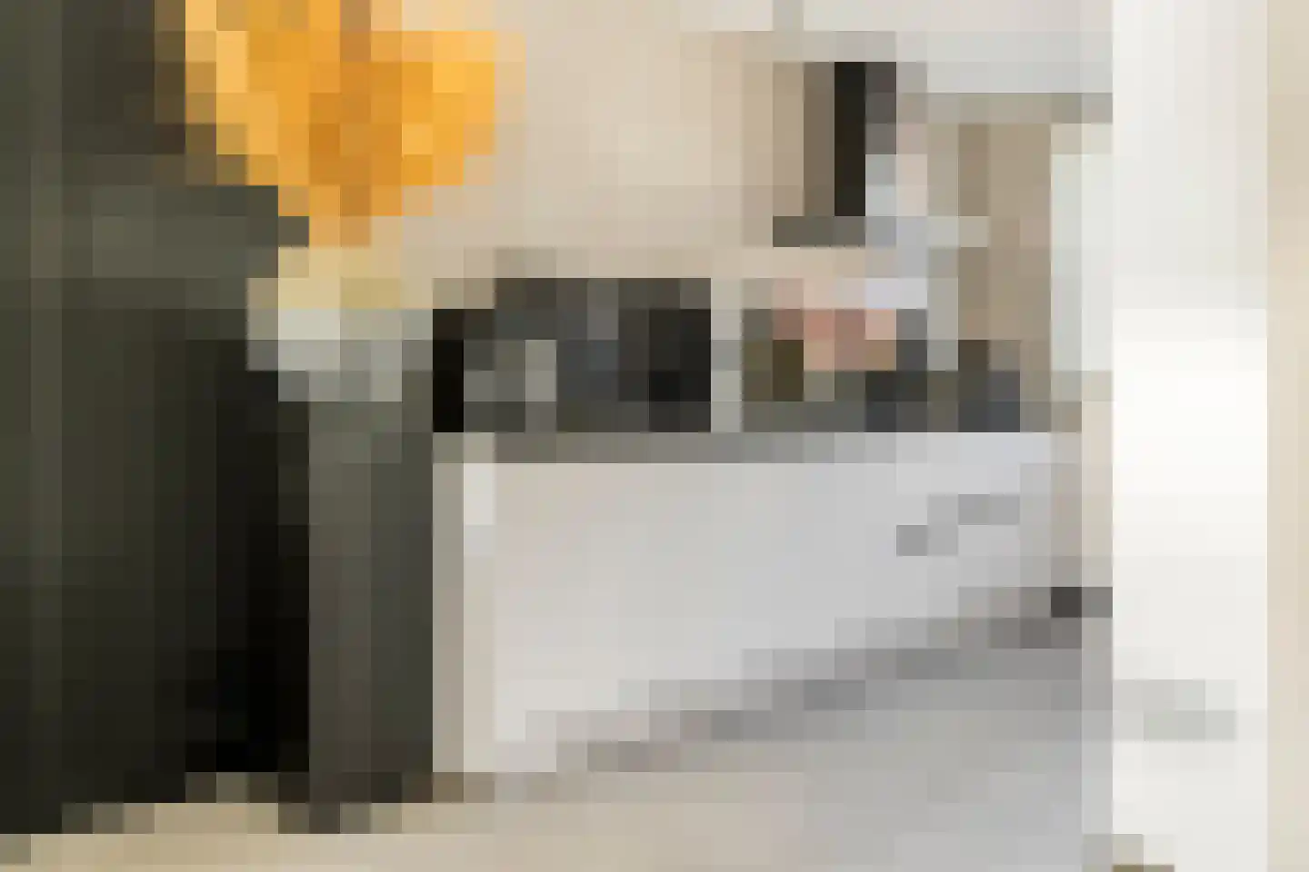 Citadel 3 Meteren thumbnail 9