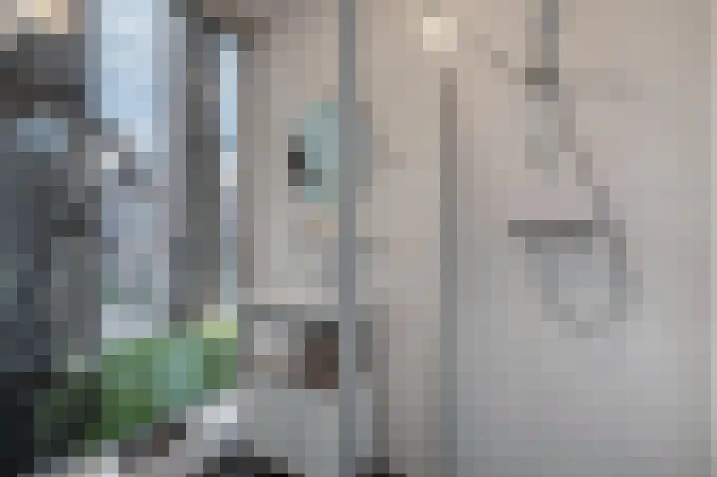 Citadel 5 Assen thumbnail 17