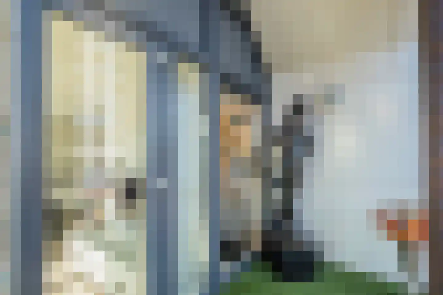 Citadel 5 Assen thumbnail 32