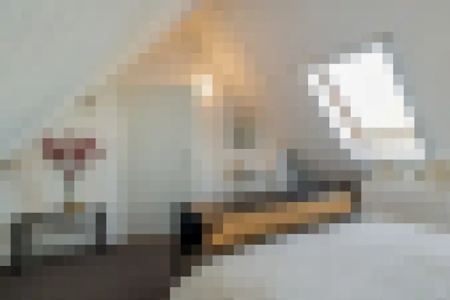 Citadel 5 Assen thumbnail 40
