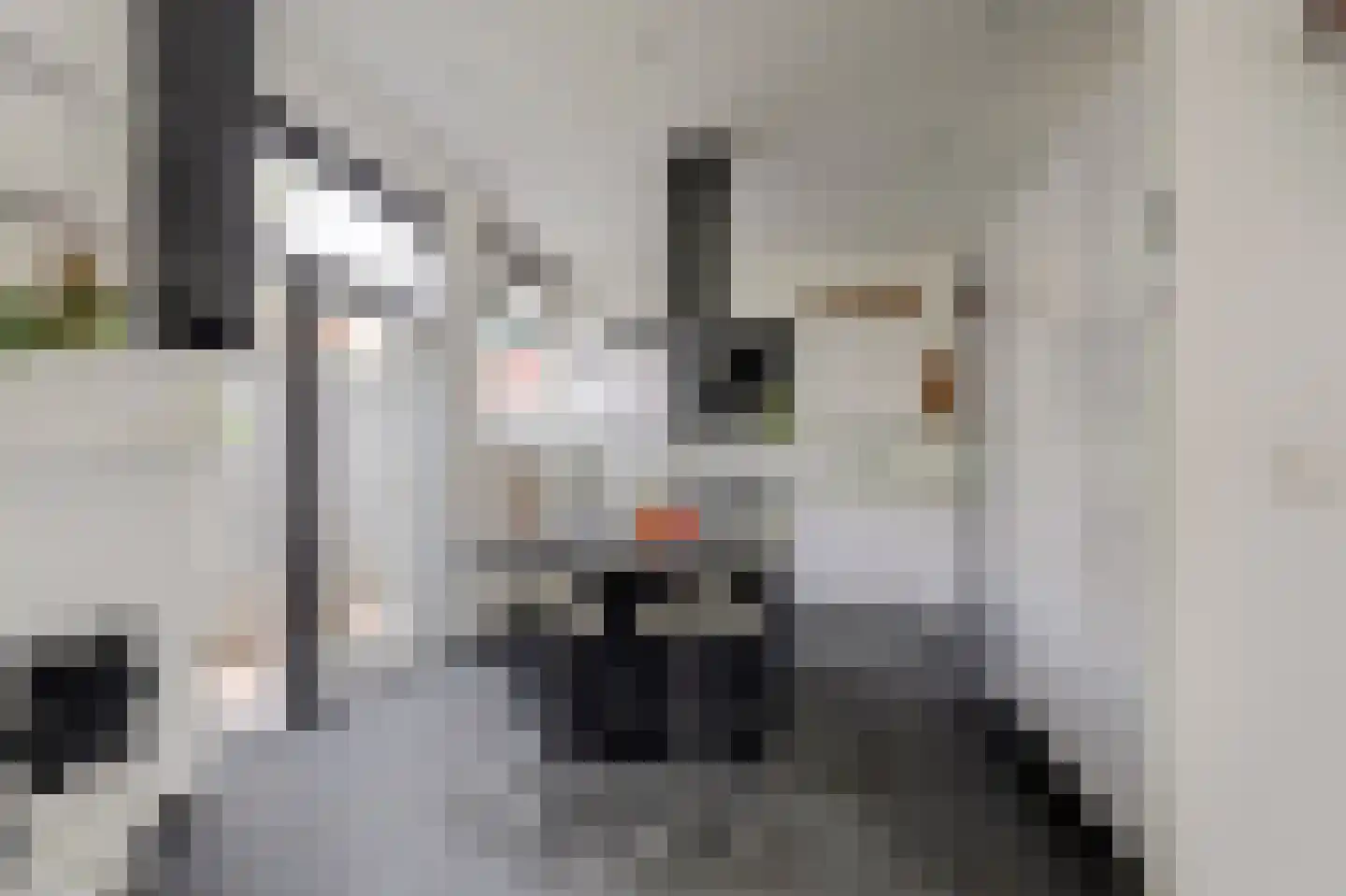 Citadel 5 Nieuwdorp thumbnail 11