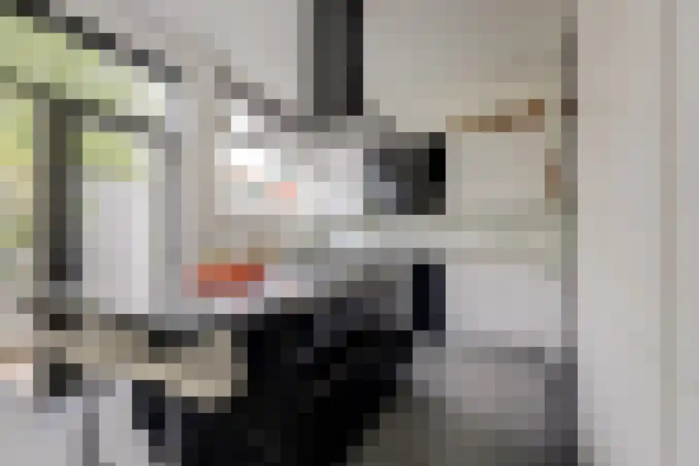 Citadel 5 Nieuwdorp thumbnail 12