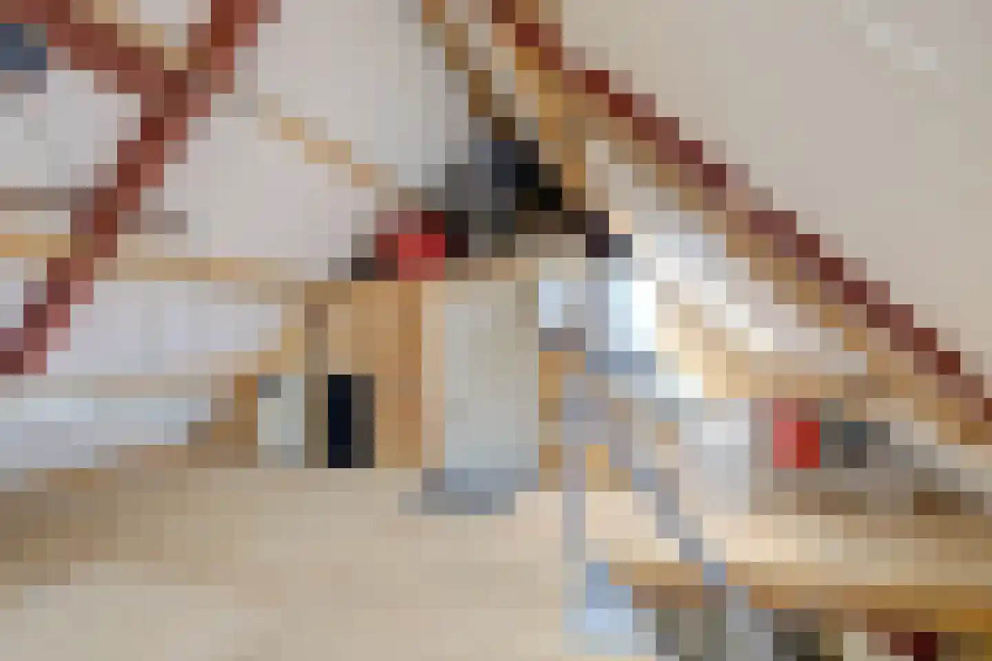 Citadel 5 Nieuwdorp thumbnail 31