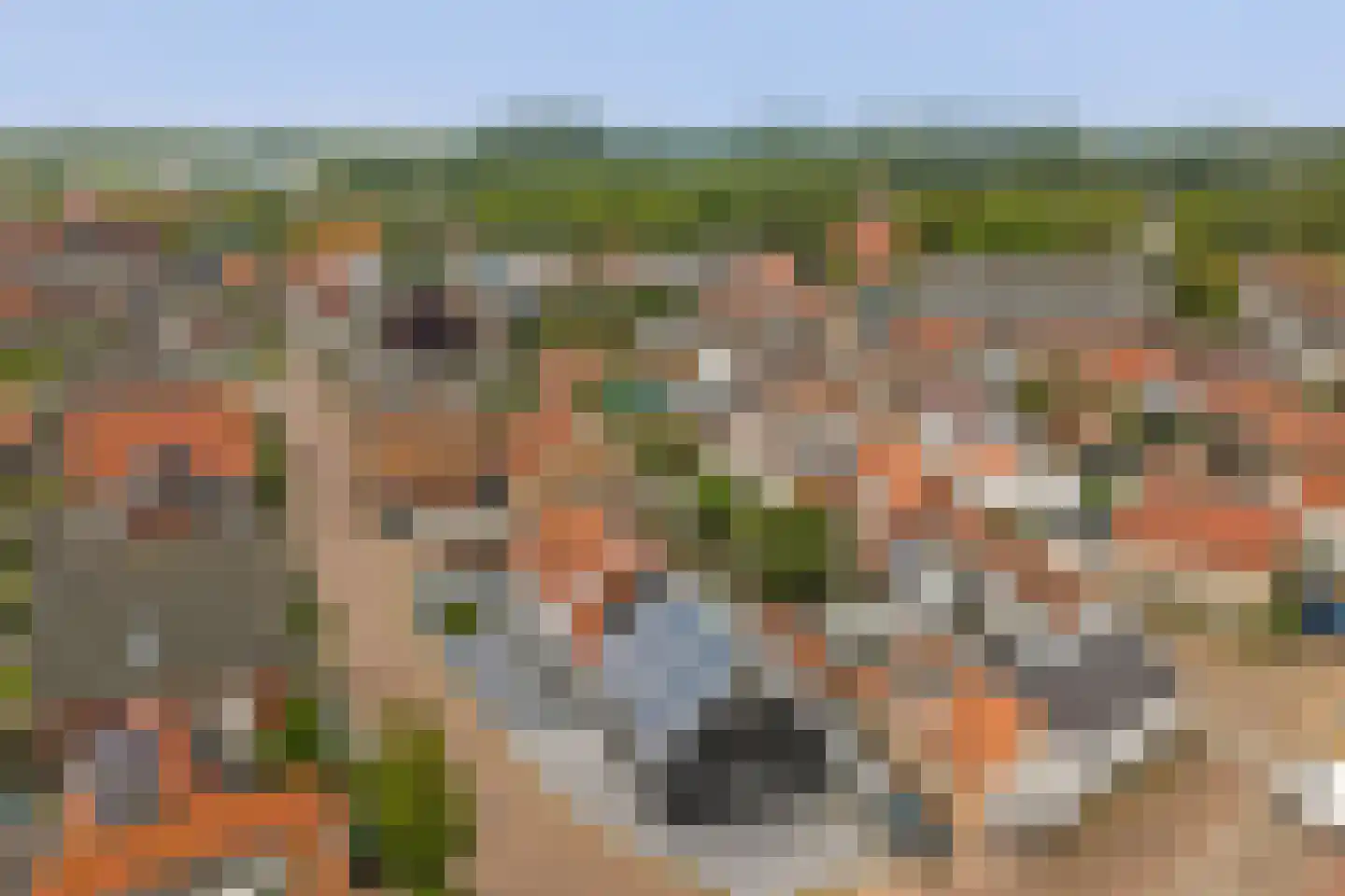 Citadel 5 Nieuwdorp thumbnail 48