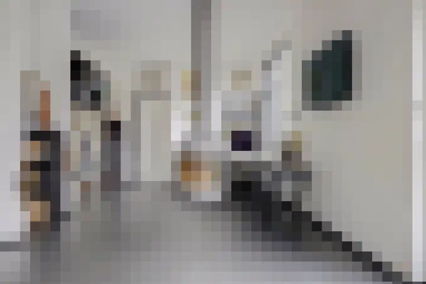 Citadel 5 Nieuwdorp thumbnail 9