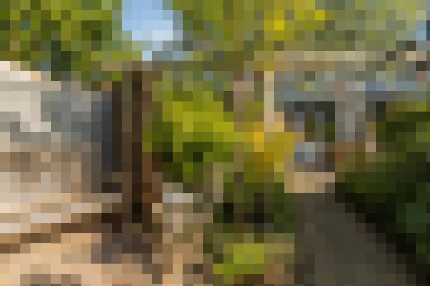 Citadel 56 Zaltbommel thumbnail 41