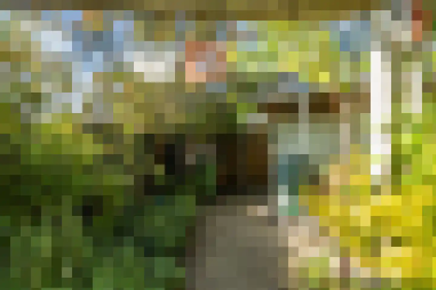 Citadel 56 Zaltbommel thumbnail 45