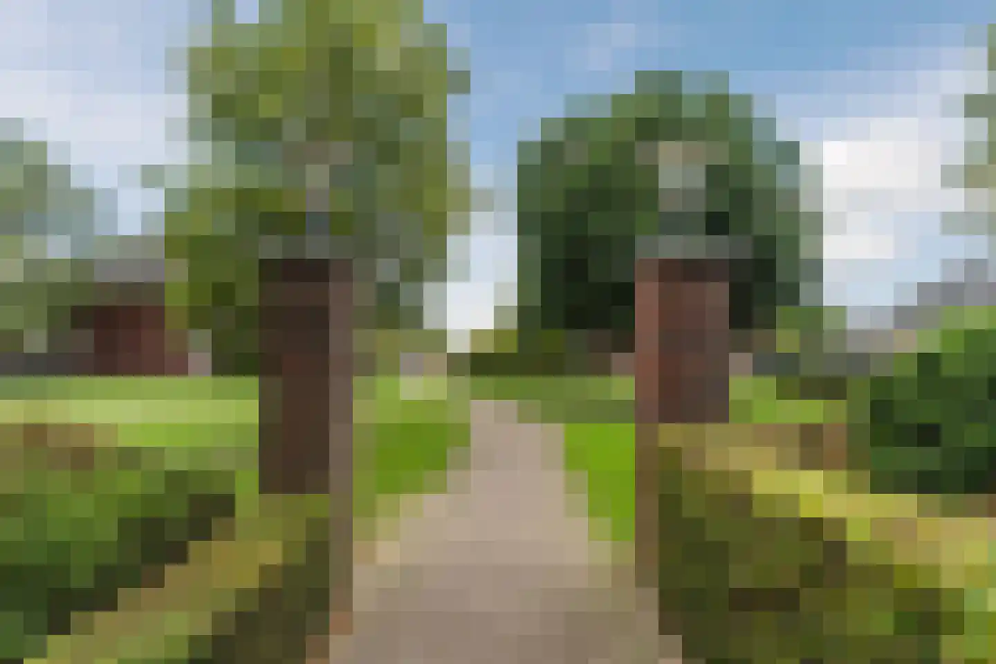 Citadel 70 Woudrichem thumbnail 36