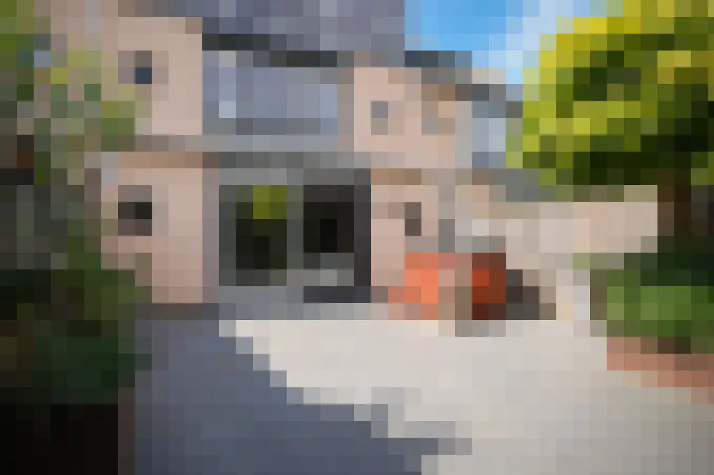Citadel 73 Zaltbommel thumbnail 33