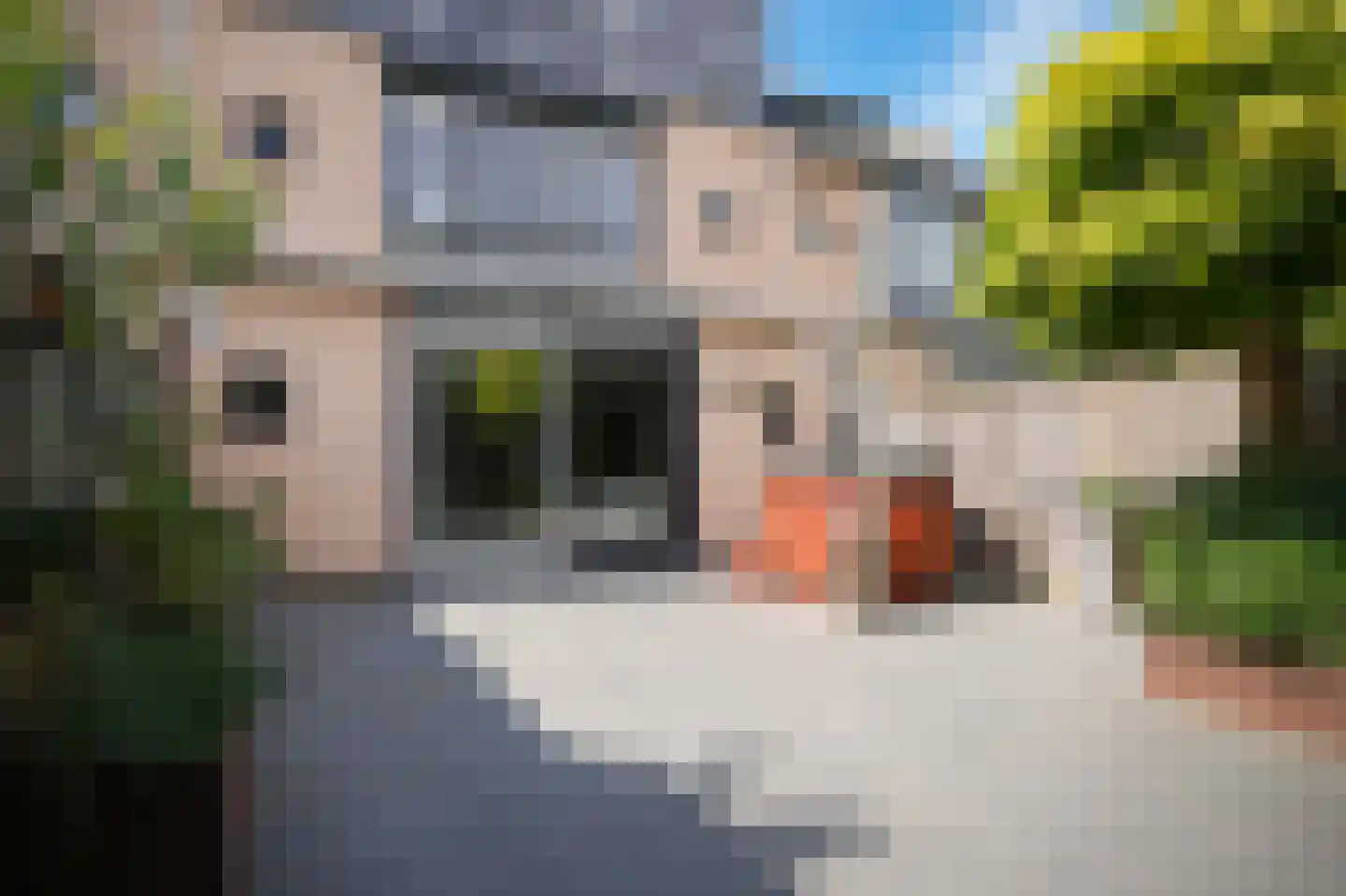 Citadel 73 Zaltbommel thumbnail 35