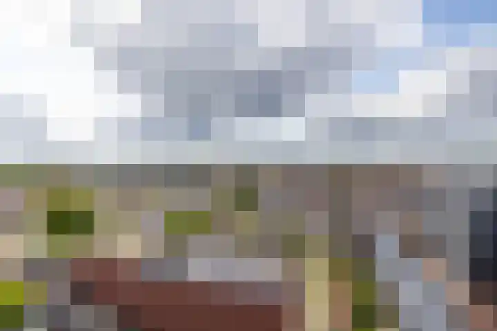 Citadel 78 Assen thumbnail 20