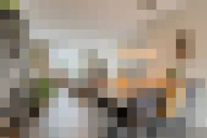 Citadel 9 Steenbergen thumbnail 11