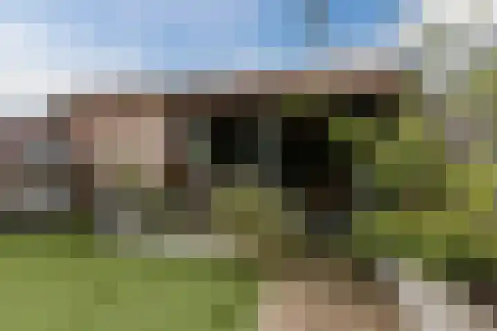 Citadel 9 Steenbergen thumbnail 46