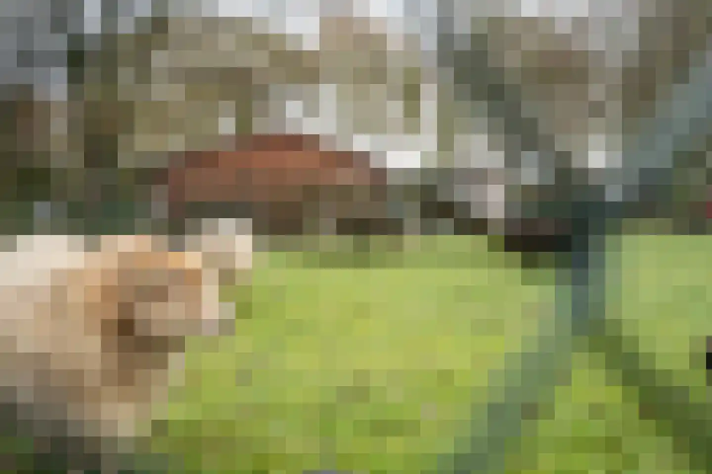 Citadel 92 Zaltbommel thumbnail 43
