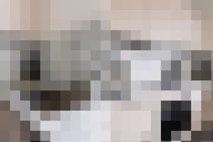 Citadeldrift 43 Nieuwegein thumbnail 39