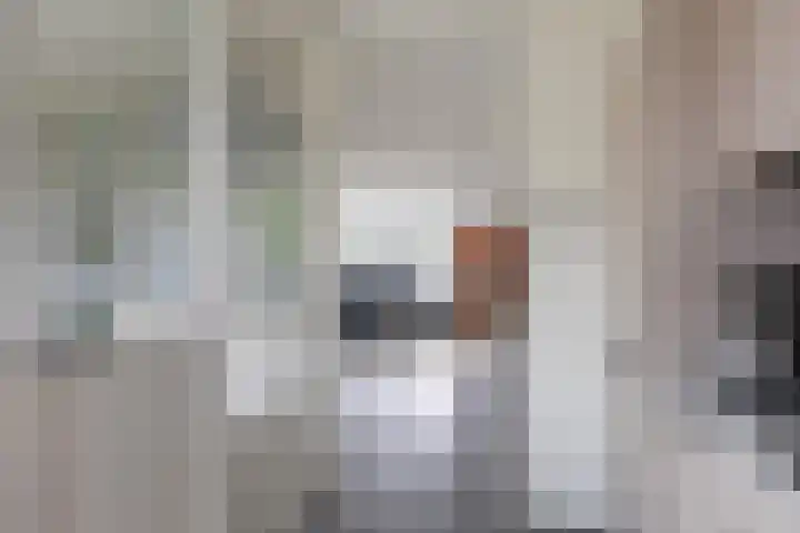 Citadeldrift 43 Nieuwegein thumbnail 41