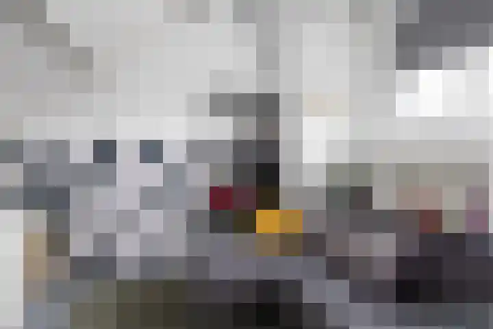 Citadeldrift 43 Nieuwegein thumbnail 52