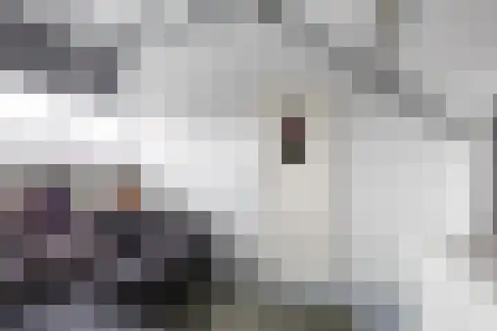 Citadeldrift 43 Nieuwegein thumbnail 53