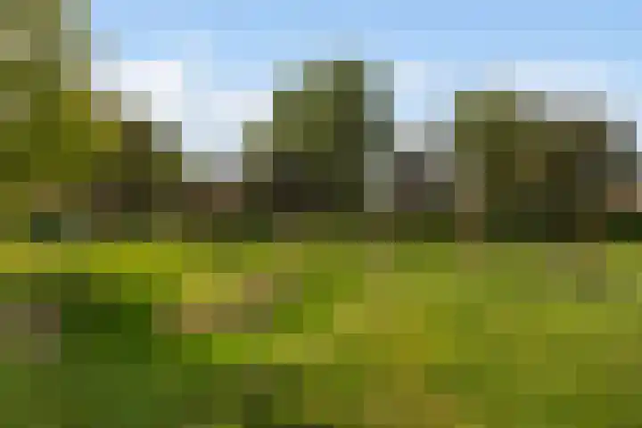 Citadeldrift 43 Nieuwegein thumbnail 57