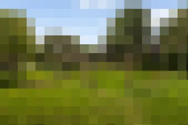 Citadeldrift 43 Nieuwegein thumbnail 58