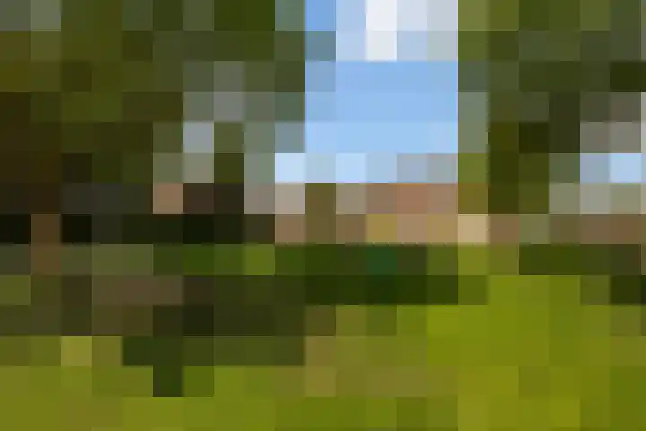 Citadeldrift 43 Nieuwegein thumbnail 59