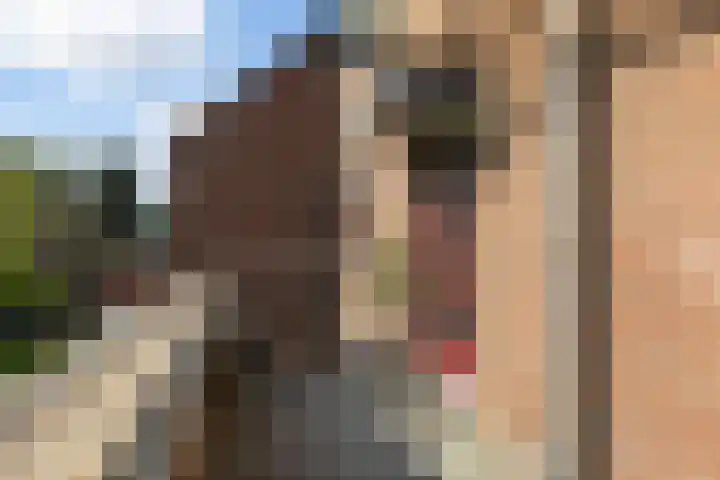 Citadeldrift 43 Nieuwegein thumbnail 7