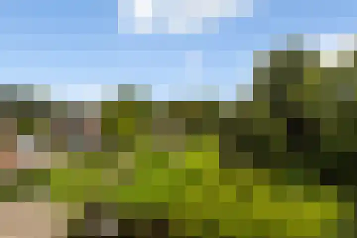 Citadeldrift 43 Nieuwegein thumbnail 8