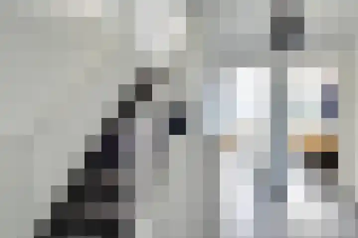 Citadeldrift 52 Nieuwegein thumbnail 18