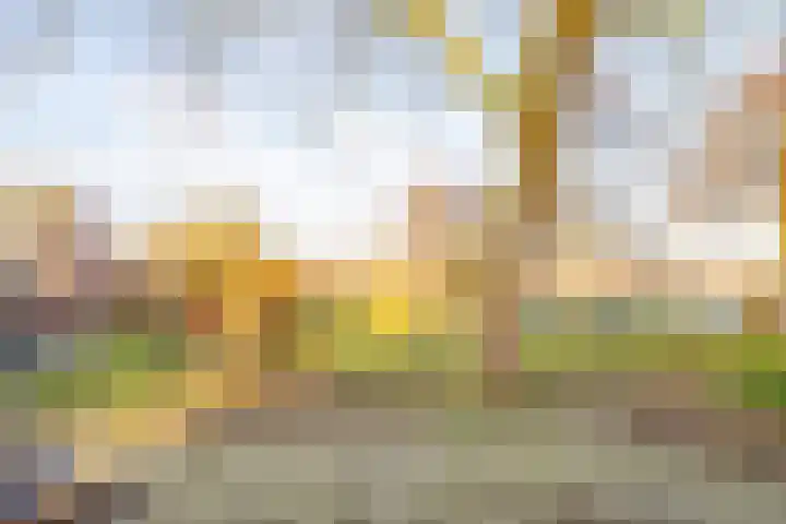 Citadeldrift 52 Nieuwegein thumbnail 39