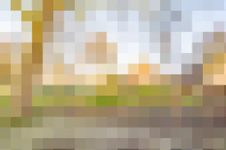 Citadeldrift 52 Nieuwegein thumbnail 41