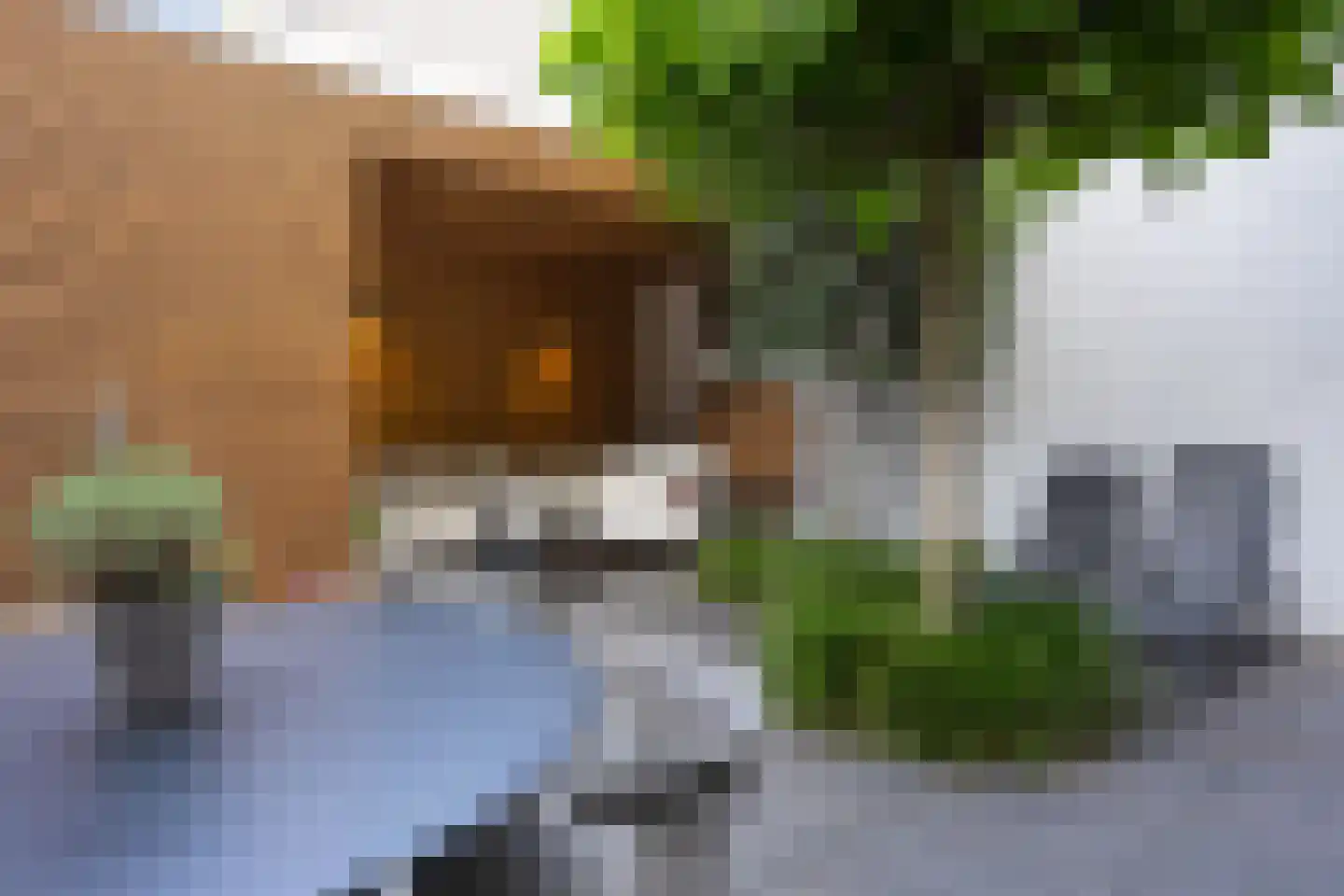 Citadellaan 12 's-Hertogenbosch thumbnail 18