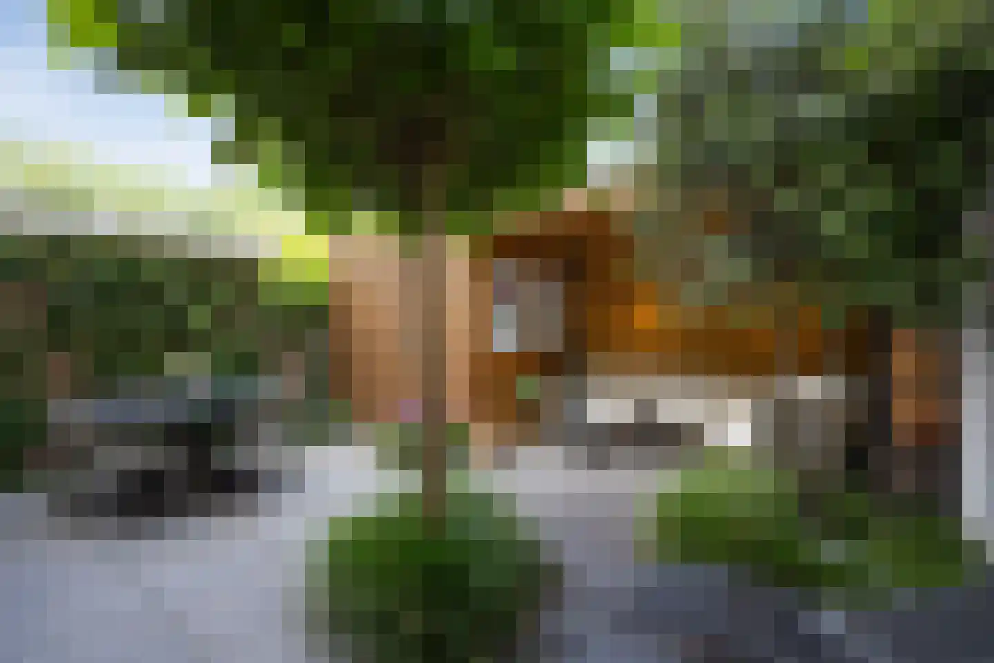 Citadellaan 12 's-Hertogenbosch thumbnail 19