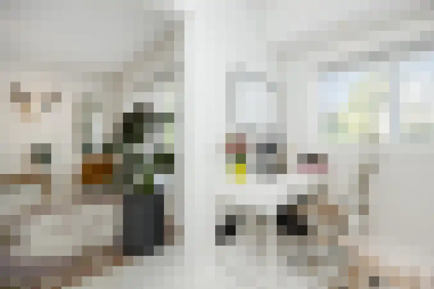 Citadellaan 12 's-Hertogenbosch thumbnail 24