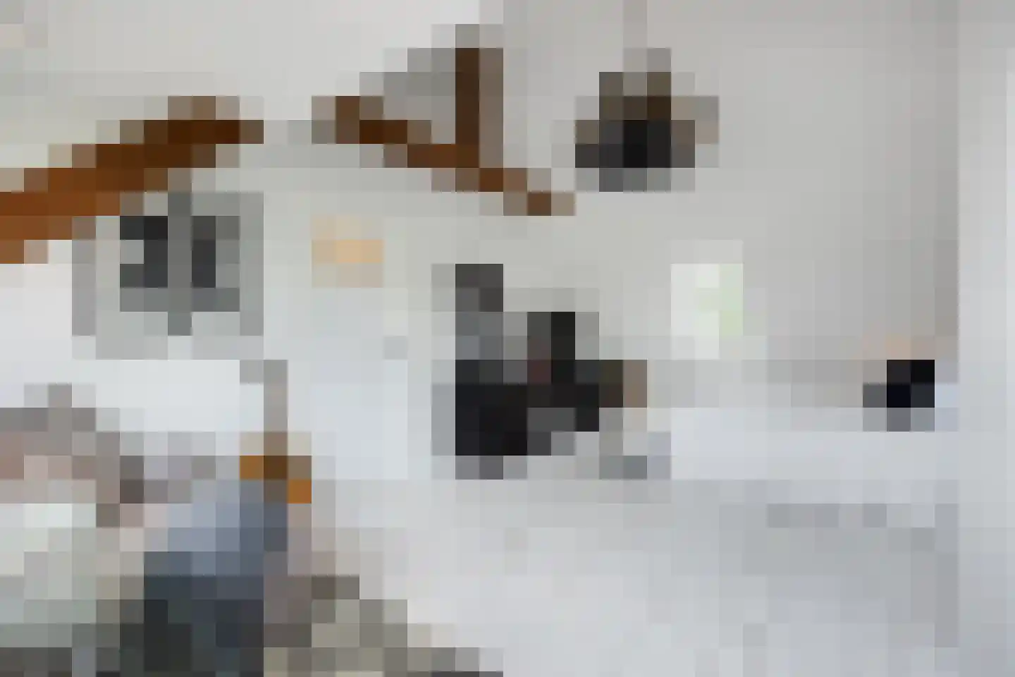 Citadellaan 12 's-Hertogenbosch thumbnail 36