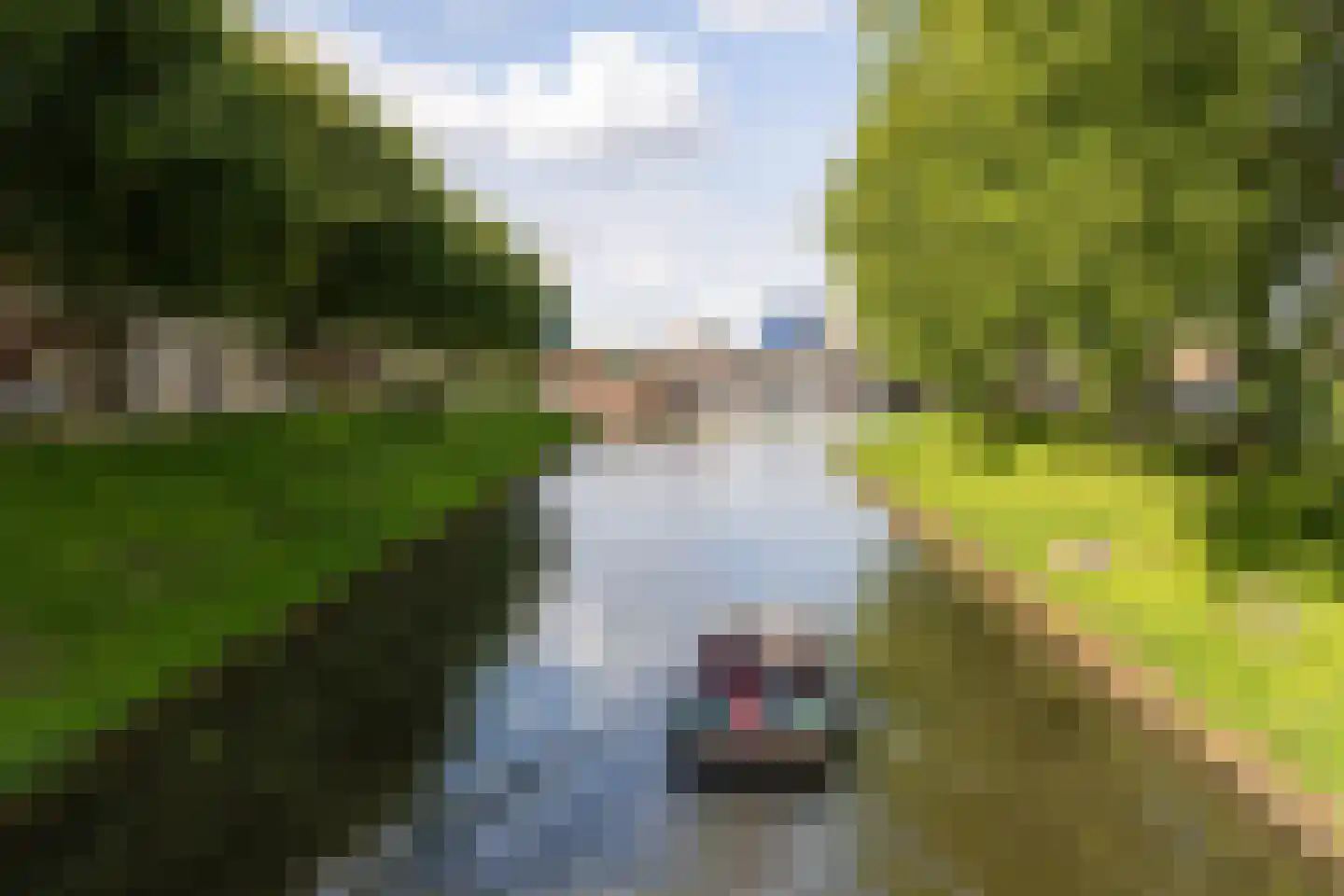 Citadellaan 12 's-Hertogenbosch thumbnail 42