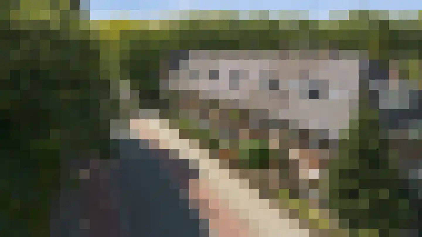 Citadellaan 12 's-Hertogenbosch thumbnail 52