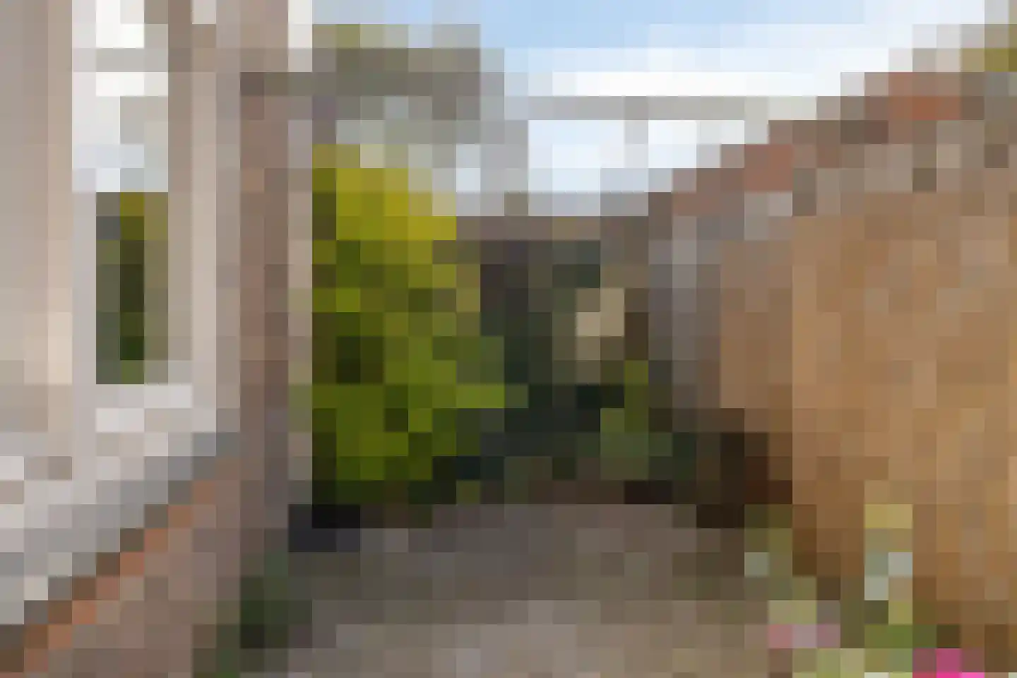 Citadellaan 25 A 's-Hertogenbosch thumbnail 22