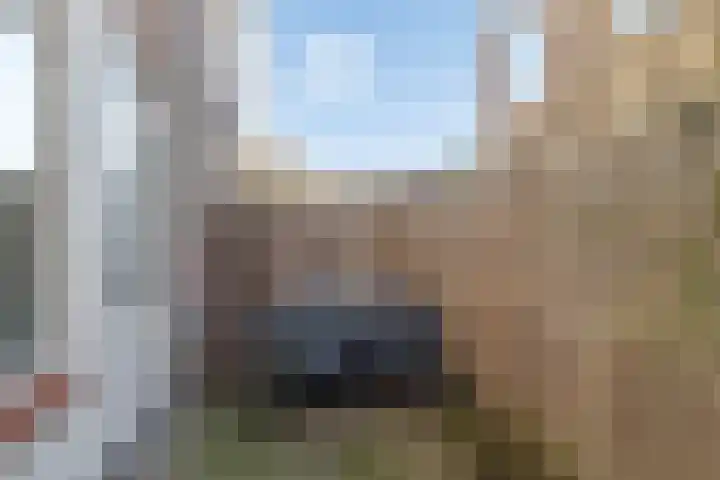 Citadellaan 25 's-Hertogenbosch thumbnail 16