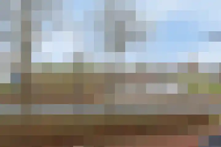 Citadellaan 25 's-Hertogenbosch thumbnail 24